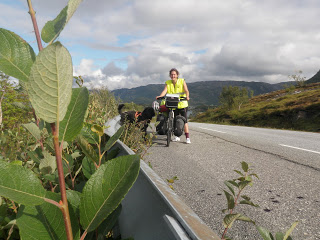 cykla med hund, cykelkärra hund, Lina Hallebratt