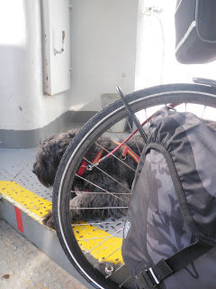 cykel, färja, hund