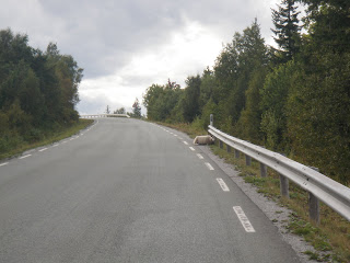 längs norska vägar