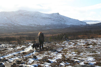 Vålådalens naturreservat