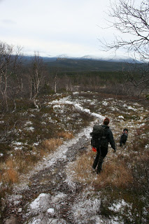 Vålådalens naturreservat