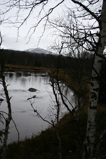 Vålådalens naturreservat