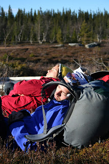 sover på fjället