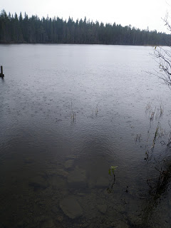 edetjärn