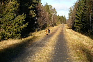 bouvier des flandes klövja hund schäfer