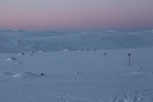 IMG_8091