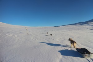 IMG_8094