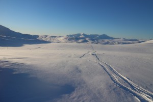 IMG_8096