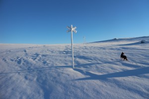 IMG_8099