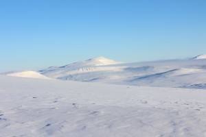 IMG_8105