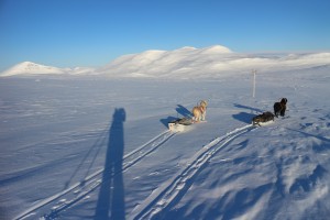 IMG_8108