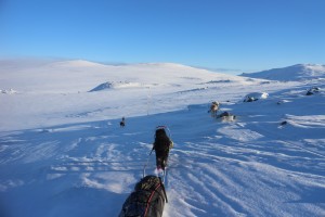 IMG_8109