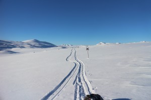 IMG_8113