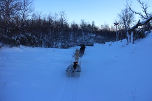 IMG_8124