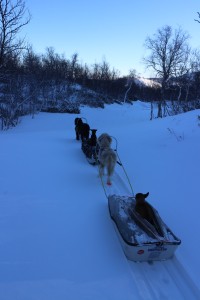 IMG_8126