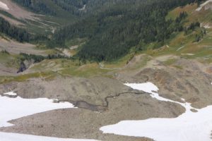 img_4729.jpg
